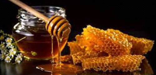 aradhyaexports Natural Honey 1-img