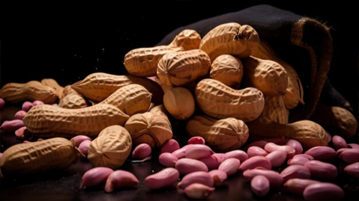 Groundnut Or Peanuts