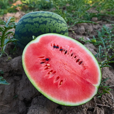 watermelon-image